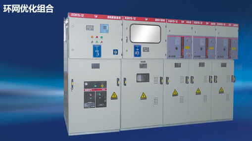 �����Ż����